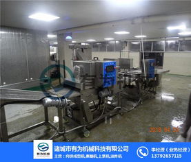 遼寧裹漿設(shè)備 有為食品機(jī)械公司 土豆條裹漿設(shè)備多少錢一臺(tái)